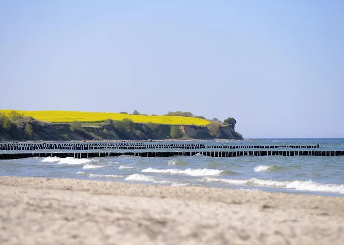 דירה Hansehaus 8